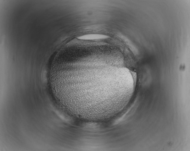 X0000097670161200803211951