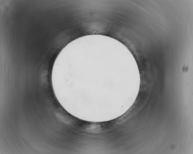 X0000097670162200803211951