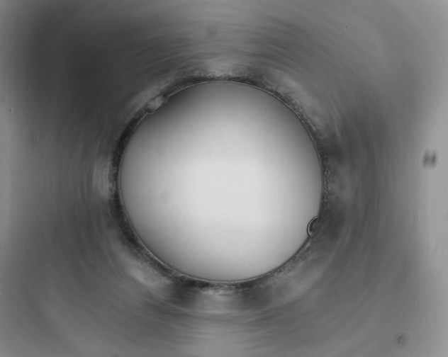 X0000097670164200803211951