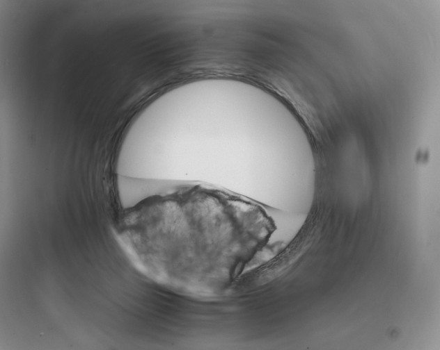 X0000097670165200803211951