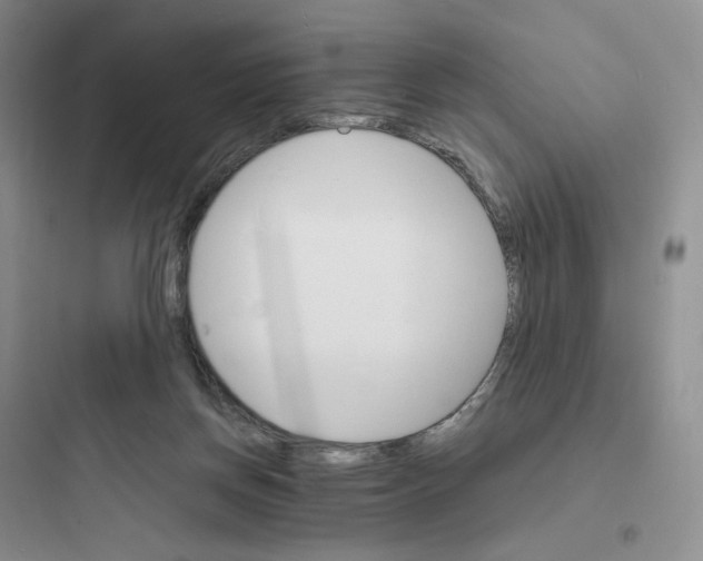 X0000097670166200803211951