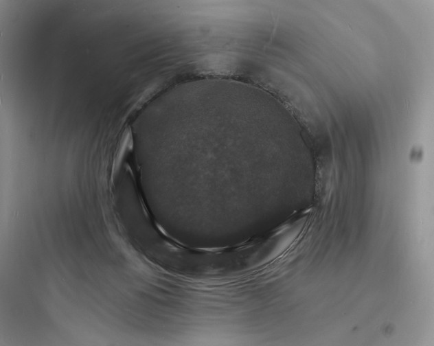 X0000097670168200803211951