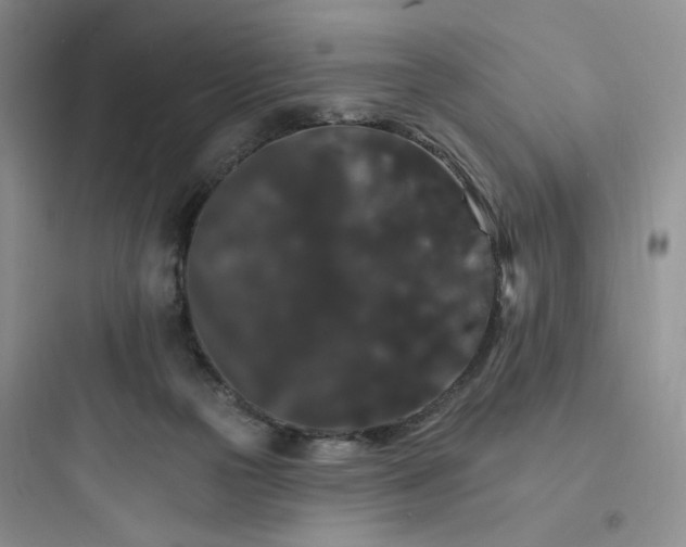 X0000097670169200803211951