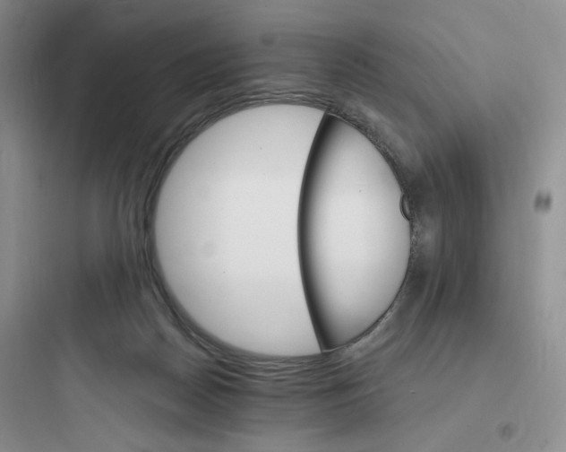 X0000097670170200803211951