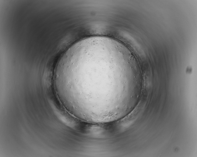 X0000097670171200803211951