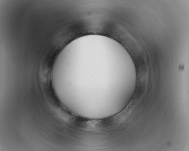 X0000097670172200803211951
