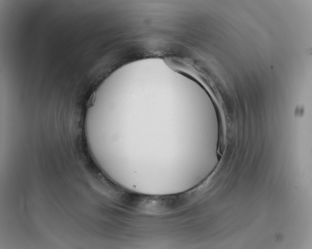 X0000097670174200803211951