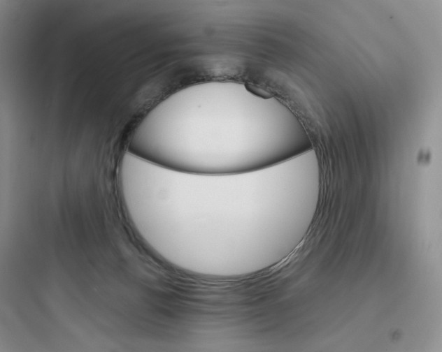 X0000097670176200803211951