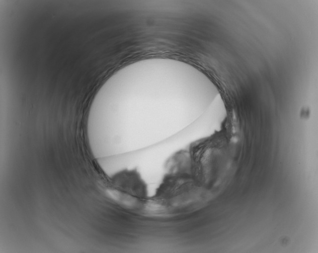 X0000097670177200803211951