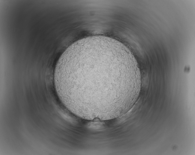 X0000097670179200803211951