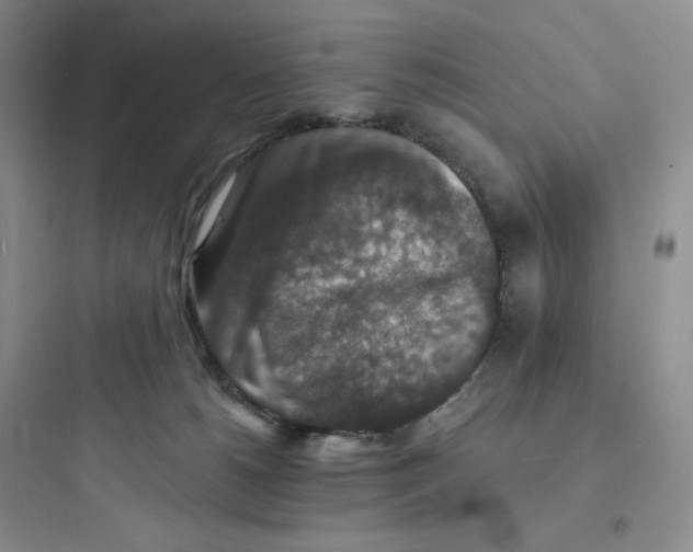 X0000097670180200803211951