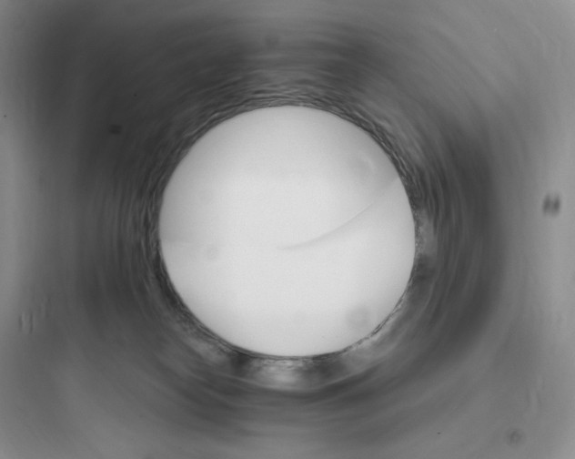 X0000097670182200803211951