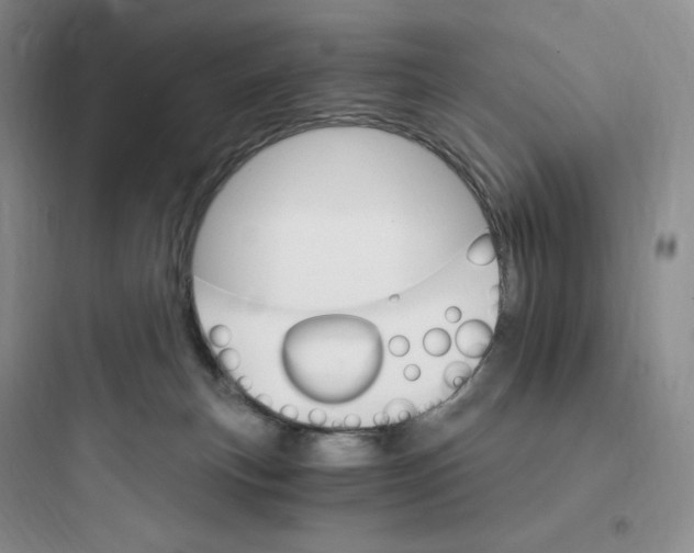 X0000097670183200803211951