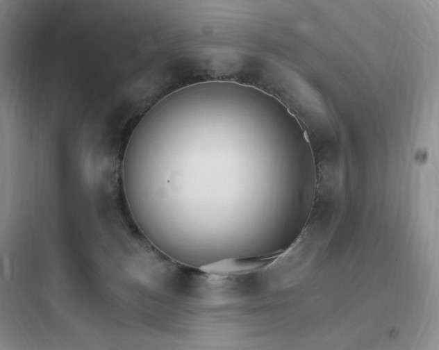 X0000097670184200803211951