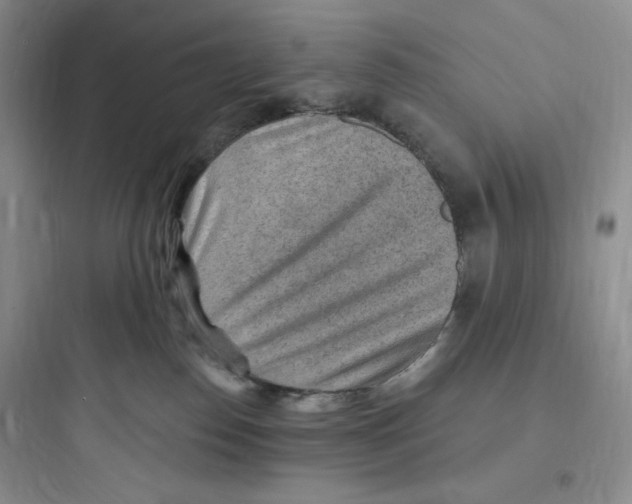 X0000097670186200803211951