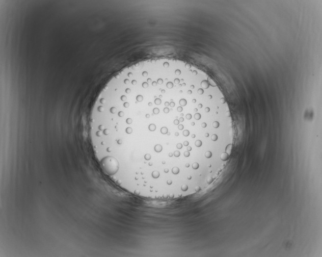 X0000097670187200803211951