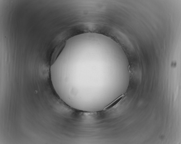 X0000097670188200803211951