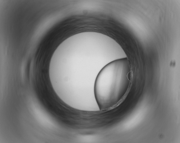 X0000097670190200803211951