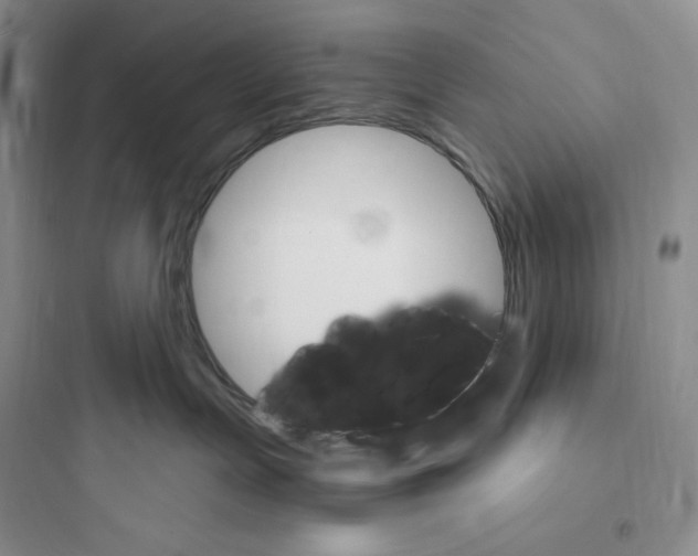 X0000097670191200803211951