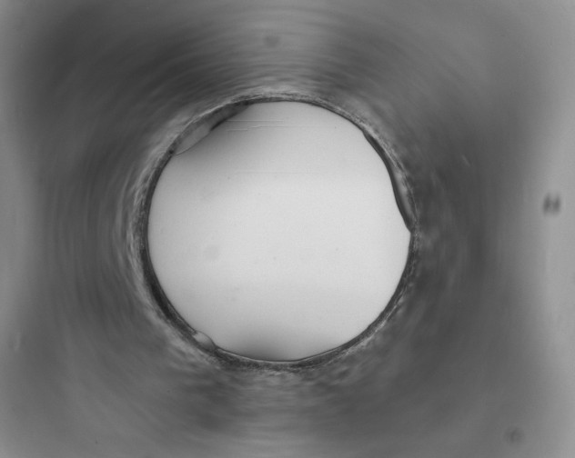 X0000097670193200803211951