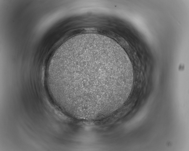 X0000097670194200803211951