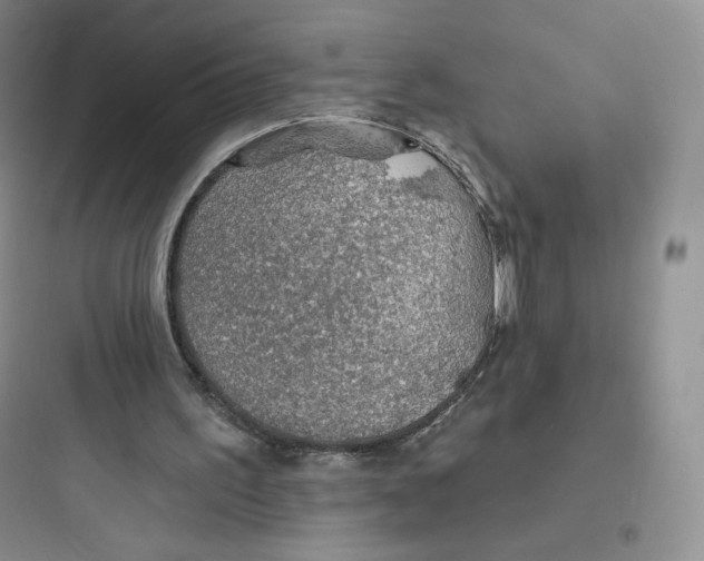 X0000097670195200803211951