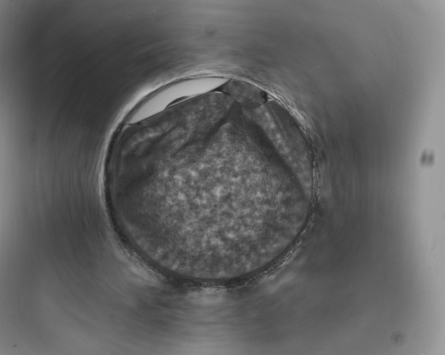 X0000097670196200803211951