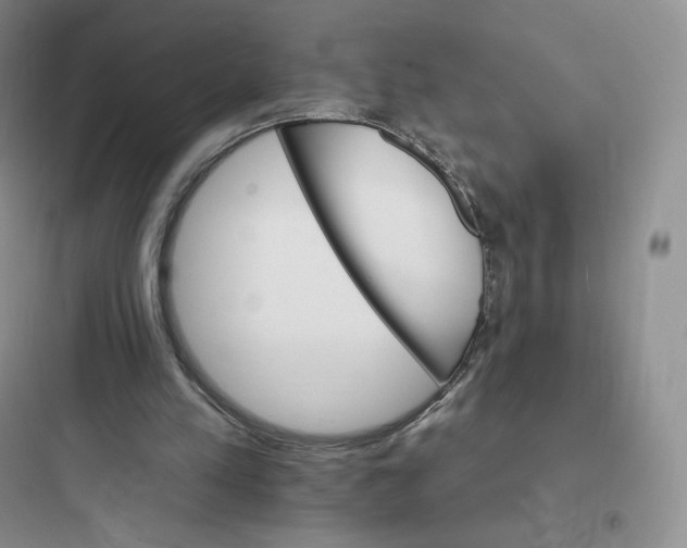 X0000097670197200803211951