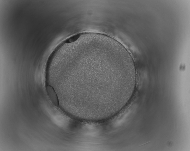 X0000097670199200803211951