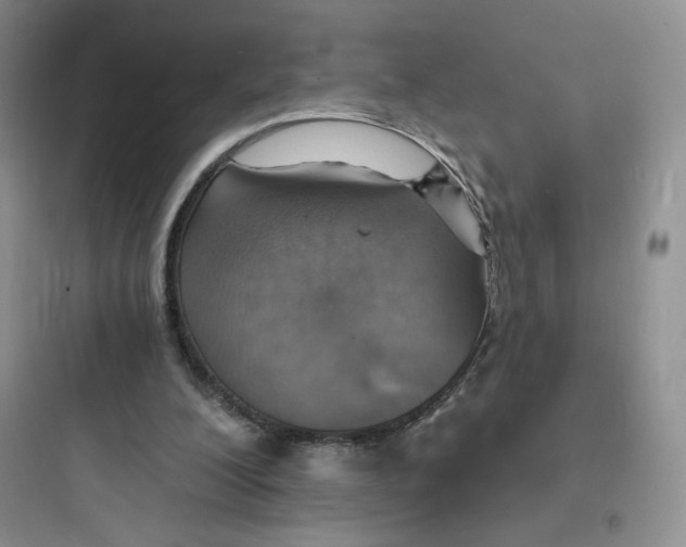 X0000097670200200803211951