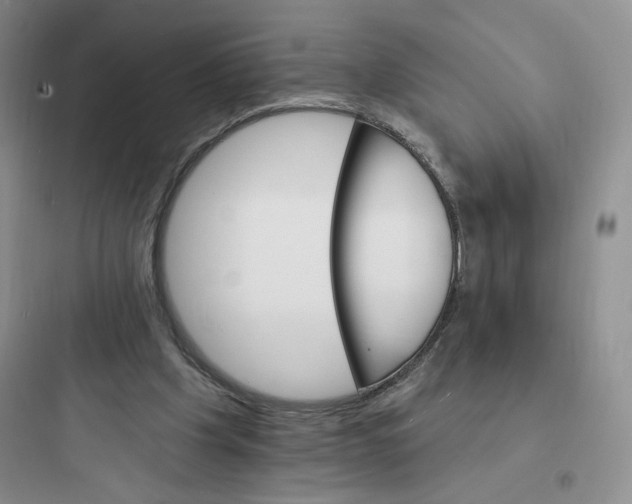 X0000097670201200803211951