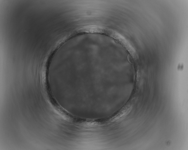 X0000097670202200803211951