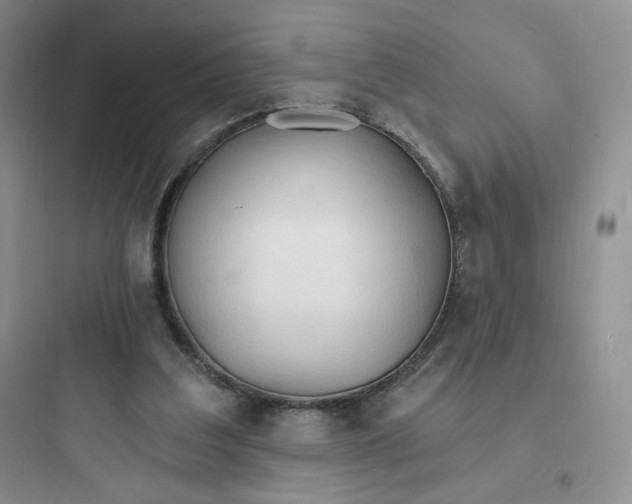 X0000097670203200803211951