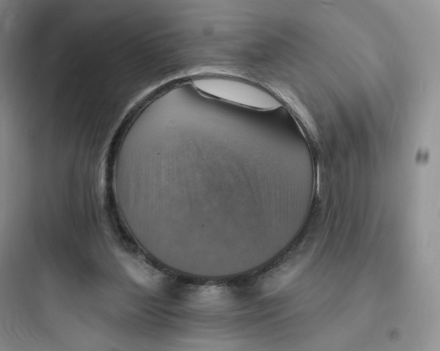 X0000097670204200803211951