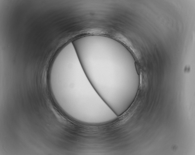 X0000097670205200803211951