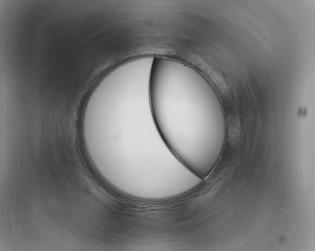 X0000097670207200803211951