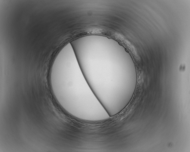 X0000097670209200803211950