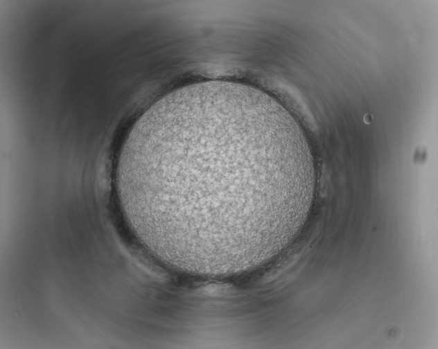 X0000097670210200803211950