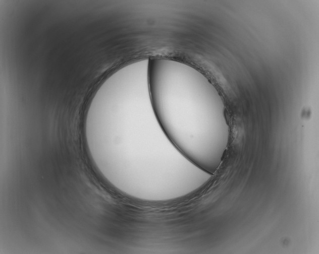 X0000097670211200803211950