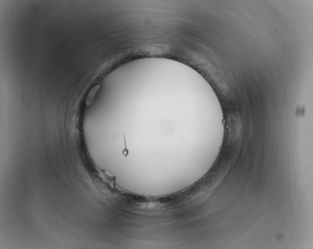 X0000097670212200803211950