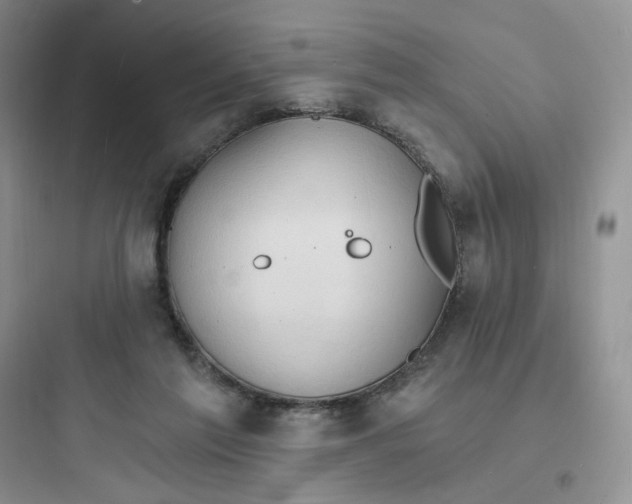 X0000097670213200803211950