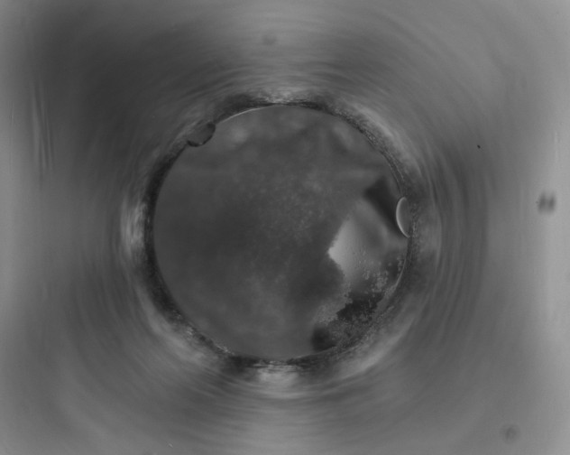 X0000097670214200803211950