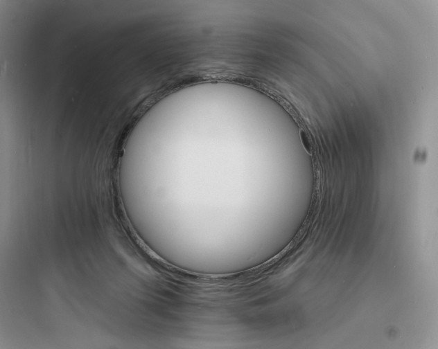 X0000097670215200803211950