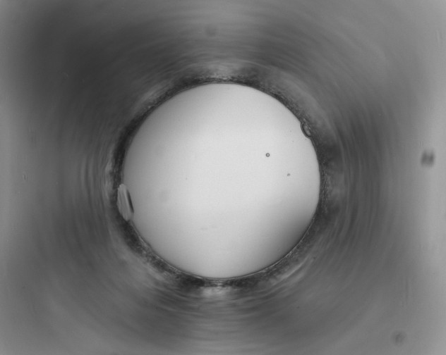 X0000097670216200803211950