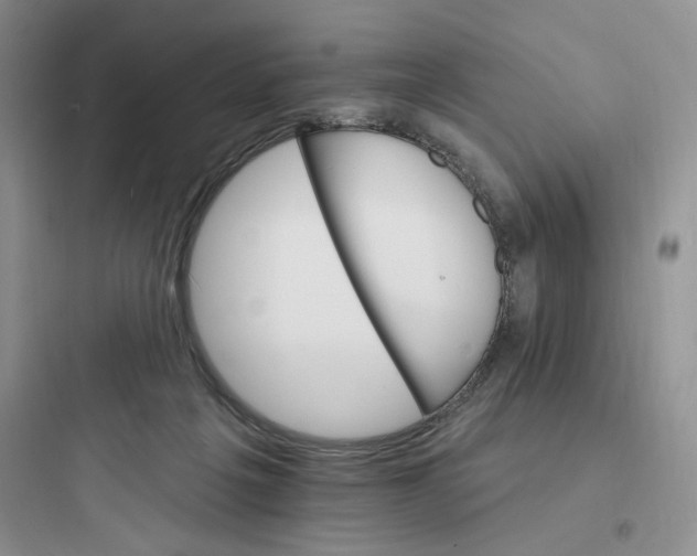 X0000097670217200803211950