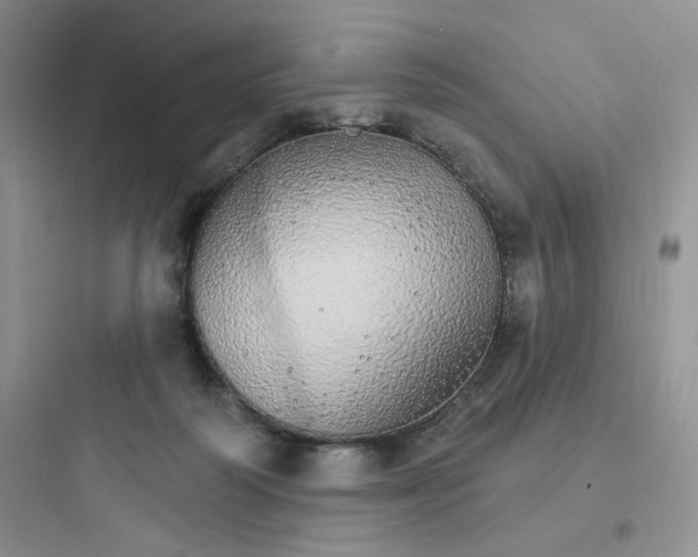 X0000097670218200803211950