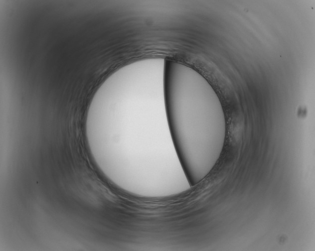 X0000097670219200803211950