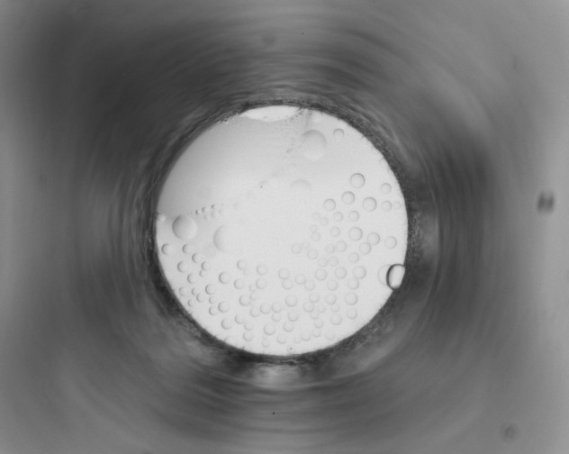 X0000097670220200803211950