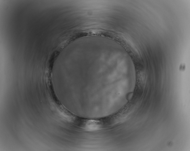 X0000097670222200803211950