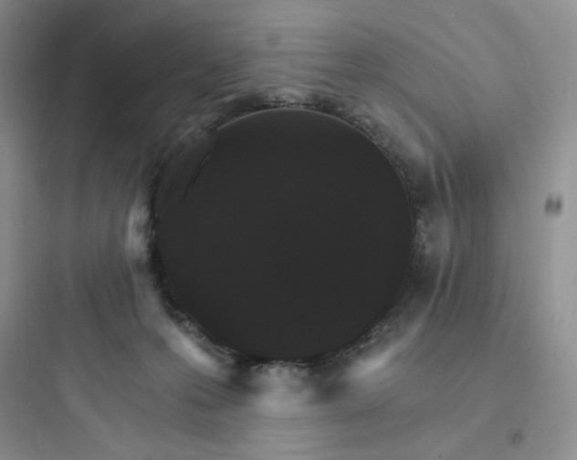 X0000097670223200803211950